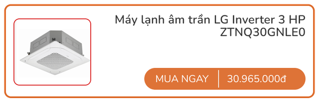 Quán chay của Ngô Thanh Vân đầu tư dàn ngựa chiến đá bay nắng nóng Sài Gòn: 10 điểm chiều khách! - Ảnh 6.