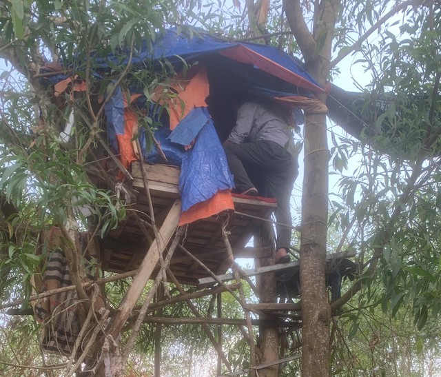 Làm lán trên cây để mua bán... ma túy - Ảnh 3.