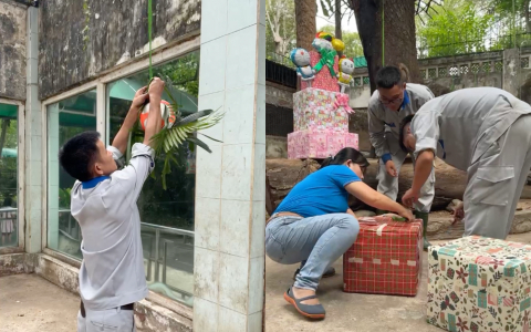 Thảo Cầm Viên Sài Gòn tổ chức thôi nôi cho 2 bé hổ Bengal: Hai chú bé thích thú bốc đồ vật chọn quà - Ảnh 2.