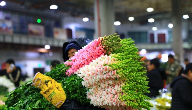 Dạo một vòng chợ hoa hoành tráng nhất Trung Quốc: Hơn 1.600 loại hoa thỏa sức mà lựa, giá rẻ chưa từng thấy - Ảnh 7.