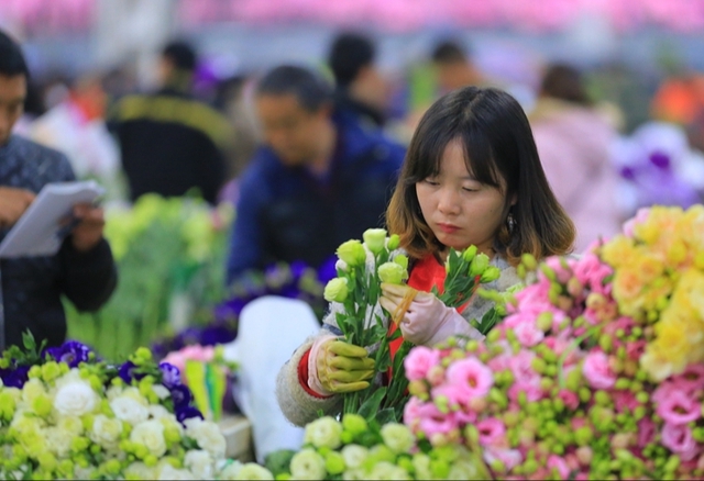 Dạo một vòng chợ hoa hoành tráng nhất Trung Quốc: Hơn 1.600 loại hoa thỏa sức mà lựa, giá rẻ chưa từng thấy - Ảnh 5.