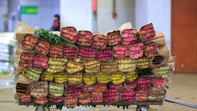 Dạo một vòng chợ hoa hoành tráng nhất Trung Quốc: Hơn 1.600 loại hoa thỏa sức mà lựa, giá rẻ chưa từng thấy - Ảnh 4.