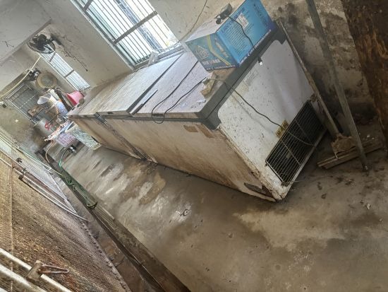 Sốc: 20 xác hổ trong tủ đông ở vườn thú Trung Quốc - Ảnh 1.