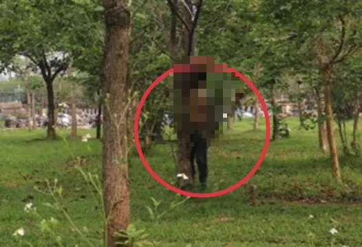 Ph&aacute;t hiện thi thể c&oacute; h&igrave;nh xăm trong vườn hoa ở H&agrave; Nội - Ảnh 1.