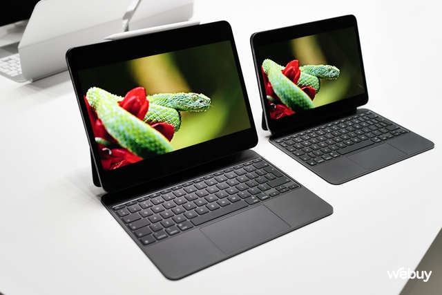Sếp Apple: Đừng gọi iPad là tablet vì tablet nào cũng lởm, còn iPad thì không - Ảnh 2. Sếp Apple: Đừng gọi iPad là tablet vì tablet nào cũng lởm, còn iPad thì không - Ảnh 2.