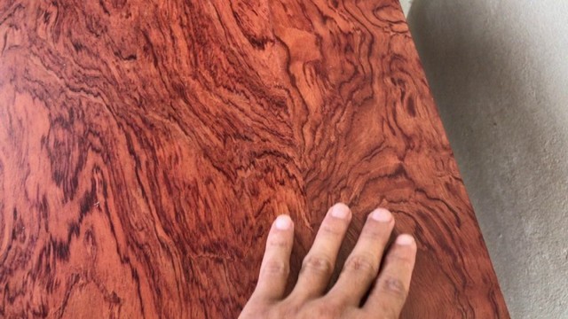 Tìm thấy cây gỗ được định giá 30 tỷ đồng: Ai nấy đều tiếc nuối khi biết báu vật từng bị… vứt trong kho - Ảnh 2.