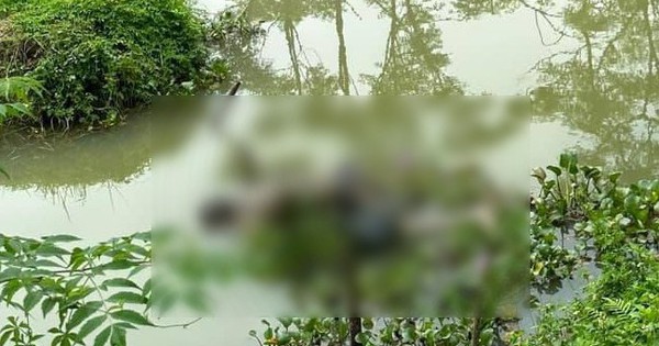 Bắc Giang: Phát hiện thi thể người đàn ông tử vong dưới mương nước - Ảnh 1.
