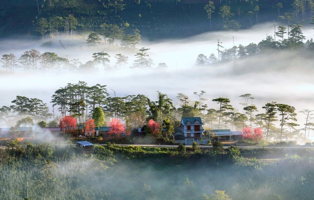 Phát hiện ngôi làng ẩn mình trong sương, là bối cảnh phim của nhà sản xuất Việt nghìn tỷ, ngay gần Đà Lạt - Ảnh 8.