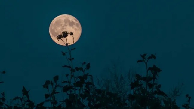 Ngắm Trăng hoa, trăng tròn gần một ngôi sao siêu khổng lồ đỏ - Ảnh 1.