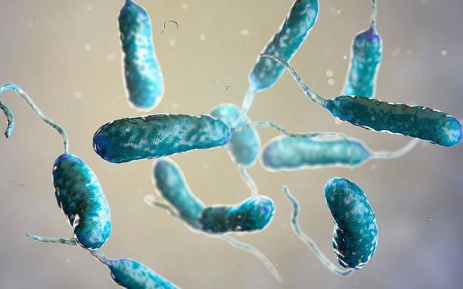 Hàn Quốc có ca tử vong đầu tiên do vi khuẩn “ăn thịt người” trong năm 2024 - Ảnh 1.