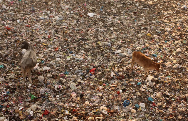 Thành phố ô nhiễm nhất thế giới: Nơi người dân sống trên núi rác cao 60 mét, sinh tồn phụ thuộc vào rác thải - Ảnh 6.