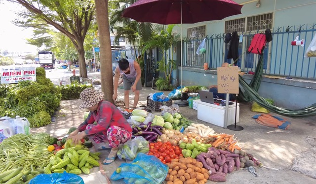 Anh Minh Râu bán hàng ế ẩm vẫn đều đặn tặng rau miễn phí, vừa lĩnh tiền từ YouTube vội làm ngay một việc - Ảnh 6.
