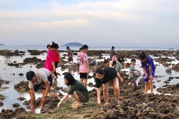 Nhiều người đổ ra biển uy hiếp rạn san hô vịnh Nha Trang - Ảnh 3.