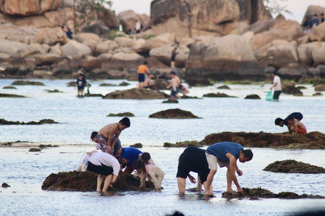 Nhiều người đổ ra biển uy hiếp rạn san hô vịnh Nha Trang - Ảnh 2.
