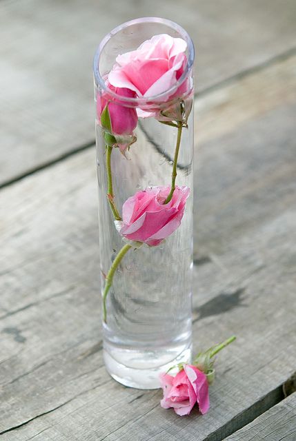 Khám phá xu hướng cắm hoa mới, siêu hot của hội chị em: Đơn giản nhưng thành phẩm đẹp mãn nhãn, đầy tinh tế - Ảnh 3.