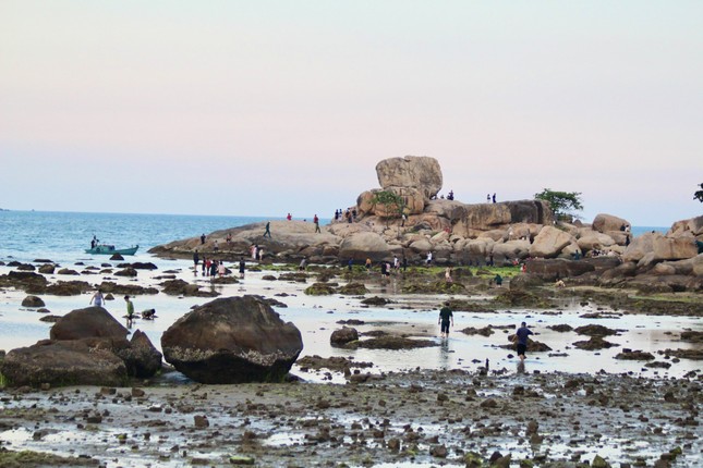 Nhiều người đổ ra biển uy hiếp rạn san hô vịnh Nha Trang - Ảnh 1.