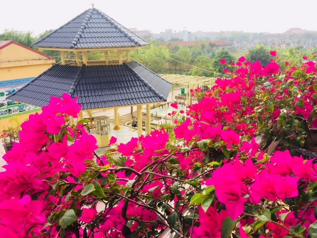Đất học Nam Định có 1 ngôi trường khiến mọi trái tim phải rung rinh: Sao mà đẹp quá đỗi! Từ cổng vào xanh ngát bóng cây - Ảnh 10.