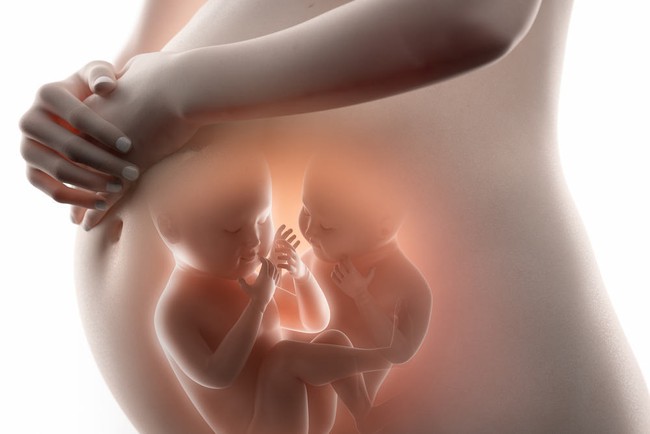 Cứ làm IVF là được thai đôi và có thể chọn giới tính thai nhi? - Ảnh 1.