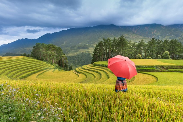 Việt Nam là điểm tránh nóng hàng đầu châu Á - Ảnh 2.