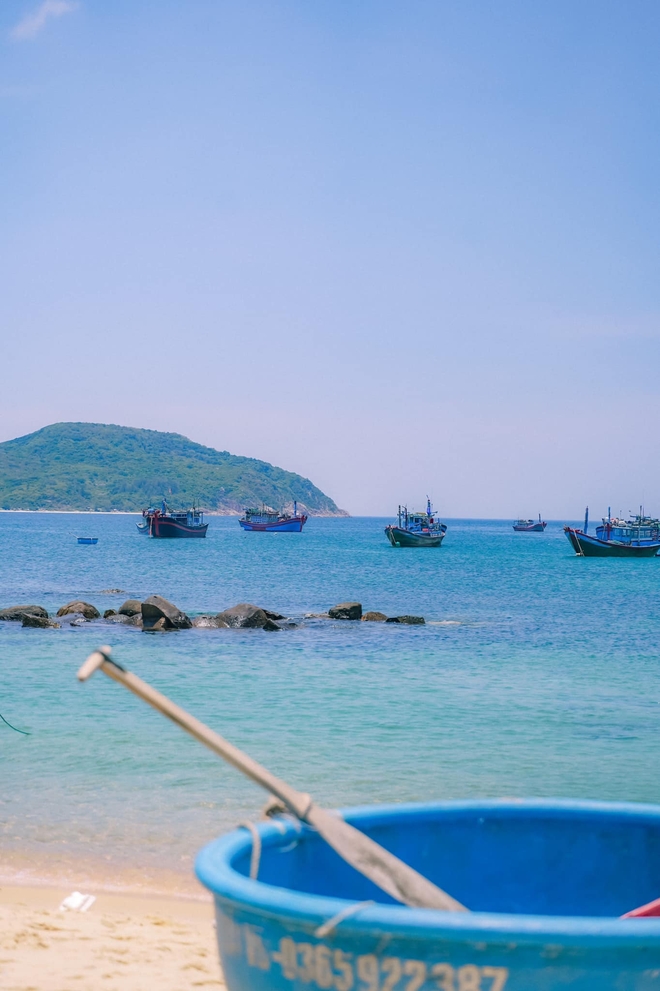 Phát hiện hòn đảo hoang sơ giữa biển Phú Yên mang cái tên lạ mà quen, được ví như đảo hoang Robinson - Ảnh 12.