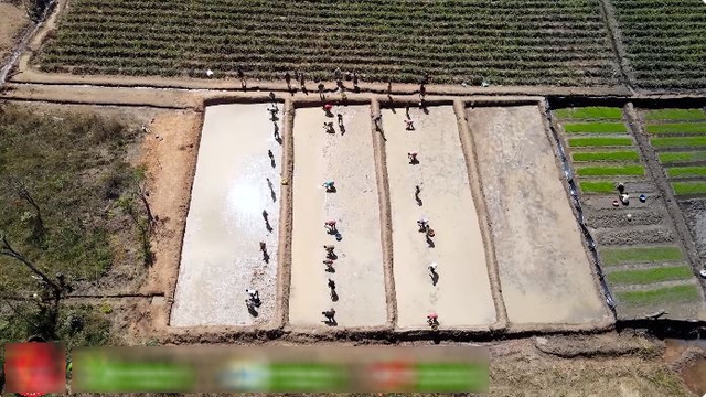 Công nghệ cấy lúa mới nhất Việt Nam được ứng dụng ở Angola, chủ trang trại có quyết định liều lĩnh - Ảnh 3.