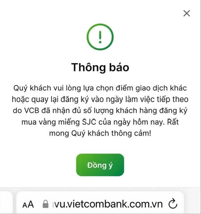 Xếp hàng trực tiếp lẫn trực tuyến mua vàng - Ảnh 2.