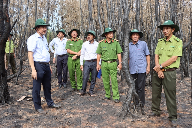 Chủ tịch tỉnh Đồng Tháp lên tiếng sau vụ cháy Vườn Quốc gia Tràm Chim - Ảnh 1.