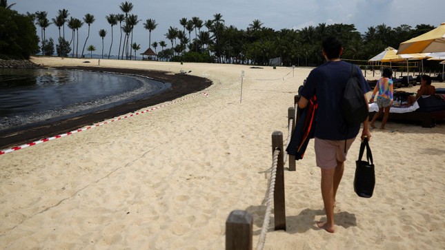 Đóng cửa bãi biển trên đảo du lịch nổi tiếng nhất Singapore - Ảnh 3.
