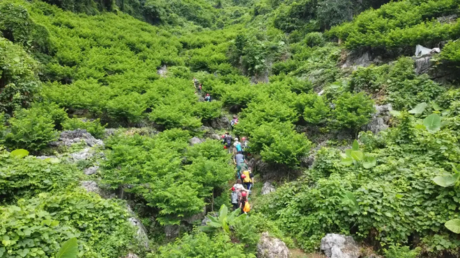 Phát hiện thung lũng hoang sơ cách Hà Nội hơn 100km, du khách ví như kỳ quan thiên nhiên ẩn trong rừng - Ảnh 4.