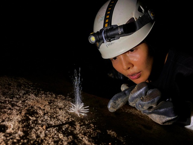Xuất hiện thủy quái bí ẩn trong hang động ở Phong Nha - Kẻ Bàng - Ảnh 1.