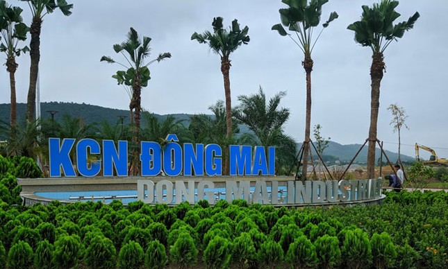 Nhiều công nhân ở Quảng Ninh nghi ngạt khí phải nhập viện cấp cứu - Ảnh 1.