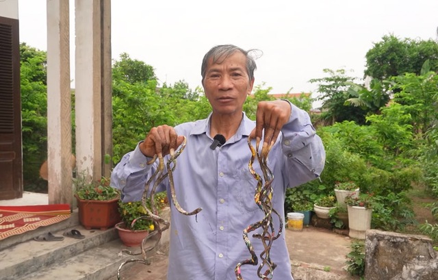 Dị nhân Nam Định móng tay dài 1m vì 33 năm không cắt, giờ muốn bán với giá 7 tỷ đồng - Ảnh 1.