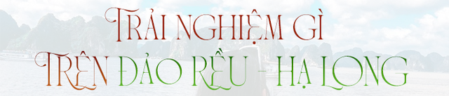 Phát hiện hòn đảo sát Vịnh Hạ Long song ít người biết tên: Cách bờ chưa đến 1km, đi tàu chỉ mất 10 phút - Ảnh 4.