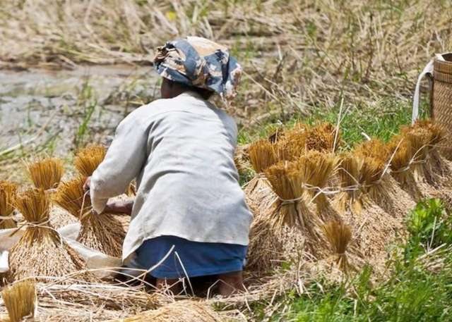 Tôi 62 tuổi, giờ hối hận: Lấy chồng như đánh canh bạc, sống khổ đến gần hết đời, giờ chỉ biết dựa vào con - Ảnh 2.