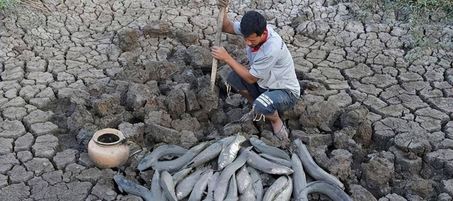 Loài cá kỳ lạ nhất châu Phi: Ẩn mình dưới lòng đất nhiều năm không cần ăn uống nhưng vẫn không thể thoát khỏi bàn tay của con người - Ảnh 5.