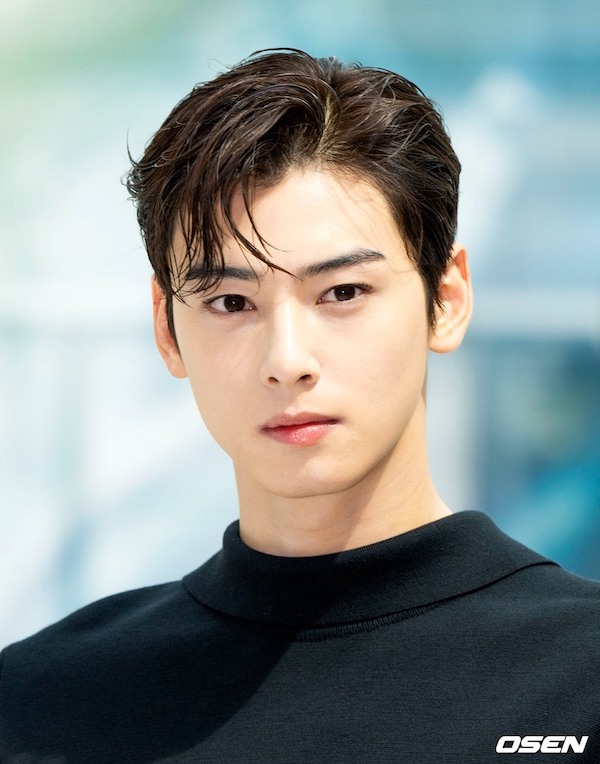 cha-eun-woo1-1719133087680734379197.jpeg