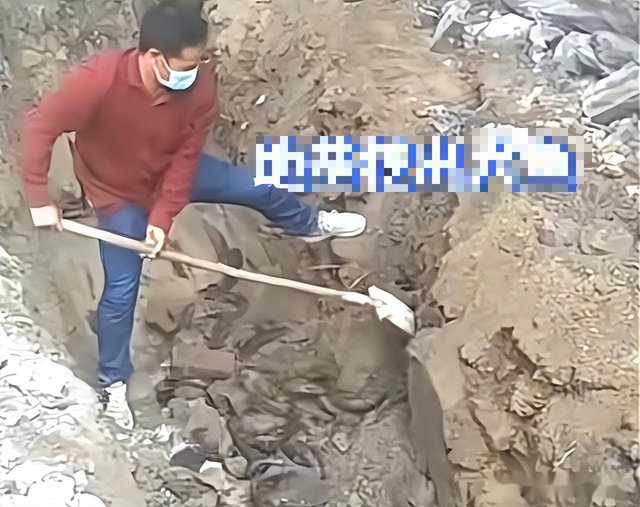 Một người đàn ông đào ra đàn sinh vật màu đen sống dưới nền móng nhà: Ở Việt Nam không còn lạ gì! - Ảnh 1.