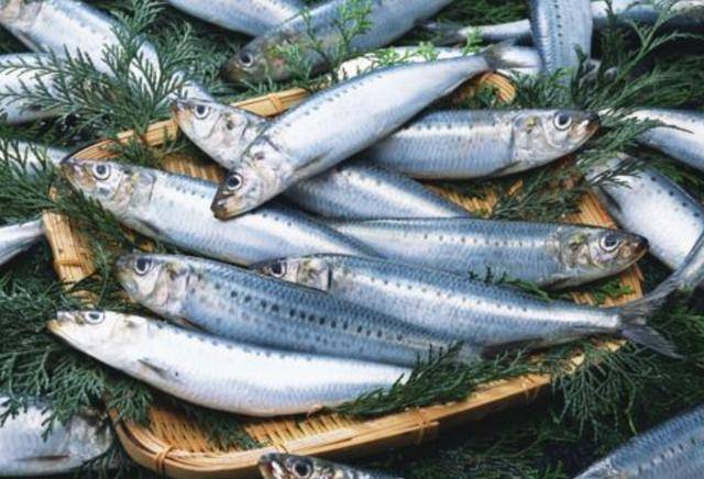 Khám phá kiểu ăn cá người Nhật yêu thích giúp giảm nguy cơ tử vong do mọi nguyên nhân một cách đáng kể - Ảnh 1.