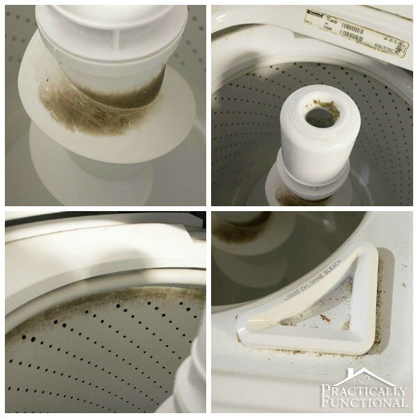 Nhà vi trùng học tiết lộ độ bẩn của máy giặt: Trong đó có vi khuẩn, virus, nấm mốc và cả phân người - Ảnh 8.