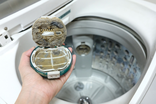 Nhà vi trùng học tiết lộ độ bẩn của máy giặt: Trong đó có vi khuẩn, virus, nấm mốc và cả phân người - Ảnh 7.