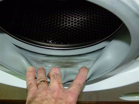 Nhà vi trùng học tiết lộ độ bẩn của máy giặt: Trong đó có vi khuẩn, virus, nấm mốc và cả phân người - Ảnh 6.