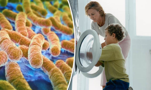 Nhà vi trùng học tiết lộ độ bẩn của máy giặt: Trong đó có vi khuẩn, virus, nấm mốc và cả phân người - Ảnh 4.
