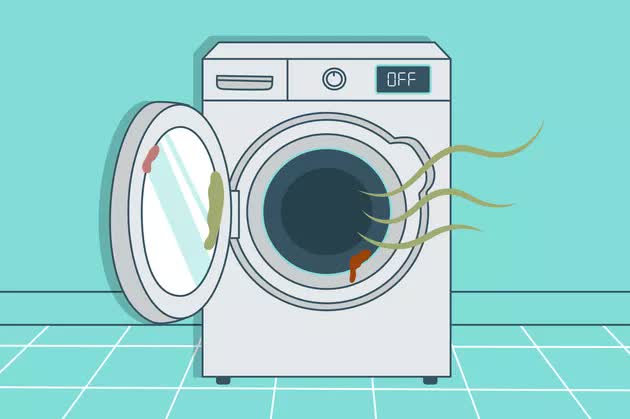 Nhà vi trùng học tiết lộ độ bẩn của máy giặt: Trong đó có vi khuẩn, virus, nấm mốc và cả phân người - Ảnh 1.