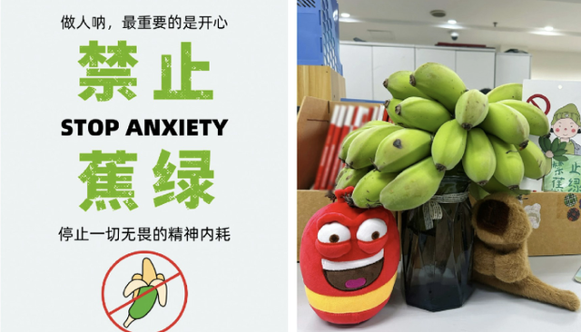 Giới trẻ bỗng dưng cuồng trend cắm buồng chuối ở văn phòng để chữa lành, shop trên Taobao bán 20.000 nải vẫn không đủ: Chỉ cần ăn 1 quả là vơi đi nỗi buồn - Ảnh 2.