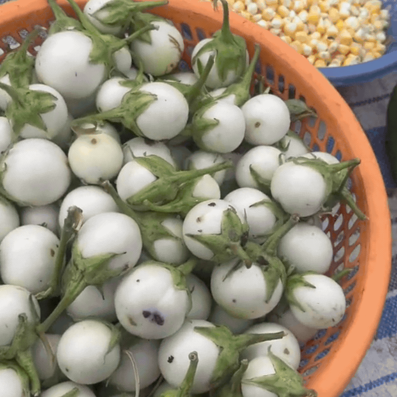 Qu&aacute; bất ngờ khi cầm 100 ngh&igrave;n đi chợ miền T&acirc;y: C&aacute; mua được cả mớ, rau mua được cả c&acirc;n, đủ ăn 3 ng&agrave;y - Ảnh 7.