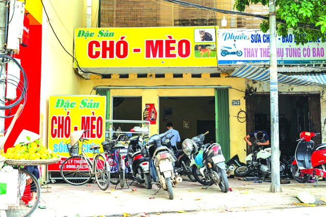 Thăm thủ phủ &ldquo;tiểu hổ&rdquo; miền Bắc, nơi ngh&igrave;n con m&egrave;o l&ecirc;n đĩa mỗi ng&agrave;y: Cỗ thiếu thịt m&egrave;o l&agrave; k&eacute;m sang - Ảnh 1.