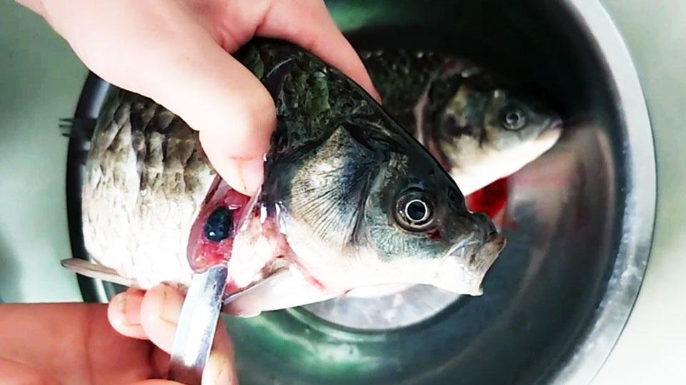 2 bộ phận bên trong con cá chứa chất độc, nhiều người không biết vẫn ăn vì tưởng bổ - Ảnh 1.
