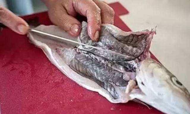 2 bộ phận bên trong con cá chứa chất độc, nhiều người không biết vẫn ăn vì tưởng bổ - Ảnh 2.
