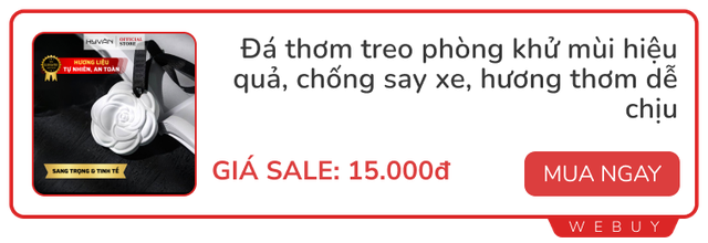 Món đồ có giá chỉ từ 15.000 đồng giúp bạn thoát khỏi nỗi ám ảnh nhà có mùi dù dọn dẹp suốt ngày - Ảnh 10.