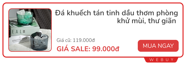 Món đồ có giá chỉ từ 15.000 đồng giúp bạn thoát khỏi nỗi ám ảnh nhà có mùi dù dọn dẹp suốt ngày - Ảnh 9.